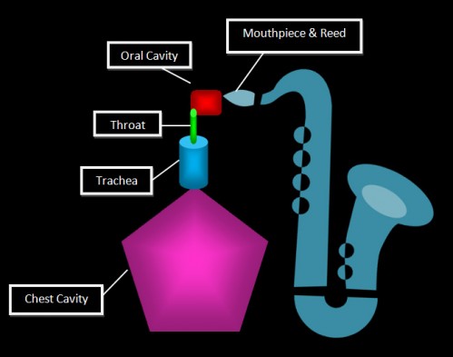 origins of tone diagram, saxophone, chest cavity, trachea, throat, oral cavity, mouthpiece & reed