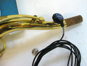 neck with mic attached