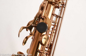 Ishimori-Wood-Stone-WSA-Alto-Saxophone-Brand-New-10