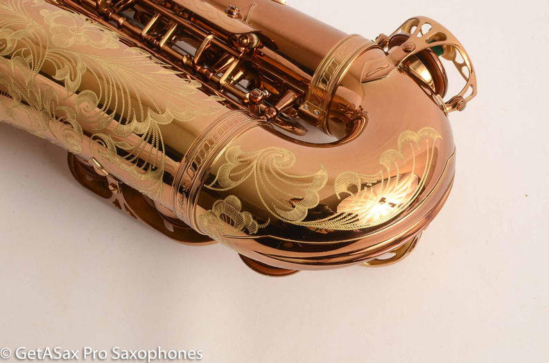 Ishimori-Wood-Stone-WSA-Alto-Saxophone-Brand-New-16.jpg