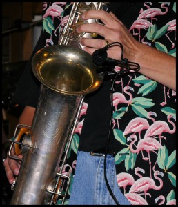 A Singing Martin Handcraft A Singing Martin Handcraft