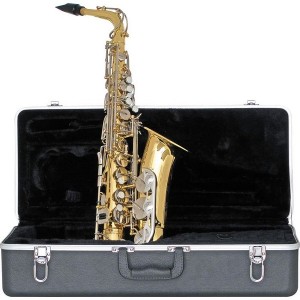 alto sax, sax case, alto saxophone, new Bundy saxophone, WWBW