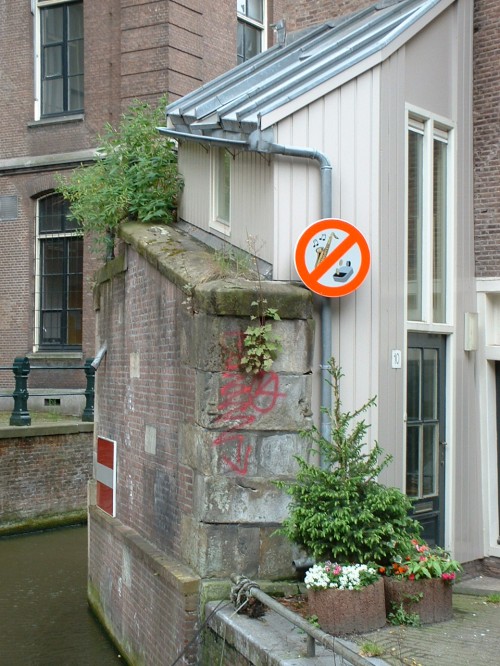 Sorry, No Saxophone Please Sorry, No Saxophone Please