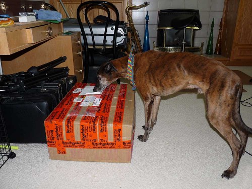 Buddy-Inspecting-The-Arriva