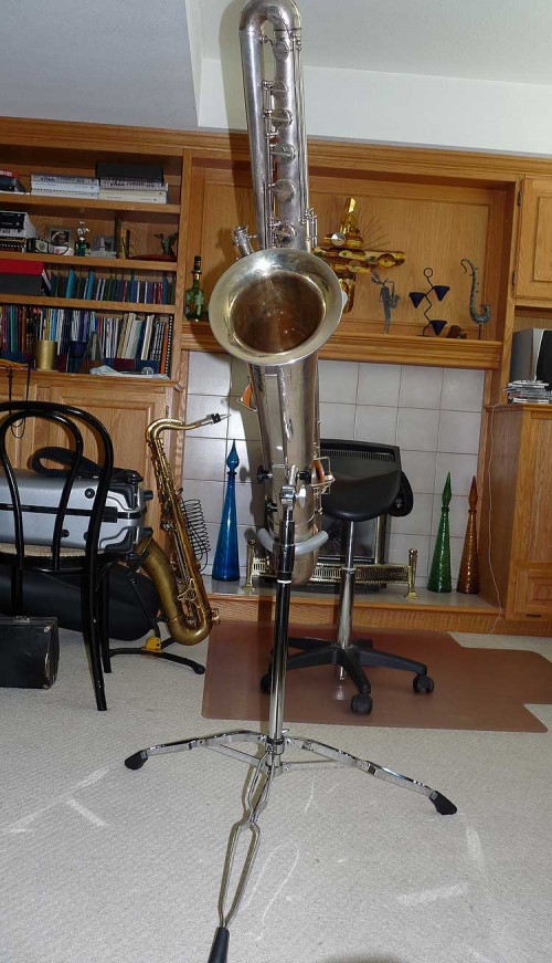 Front-View-Of-The-Bass-In-T