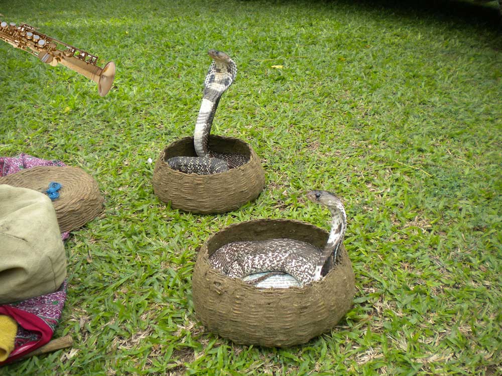 Saxophones: Rambling Thoughts