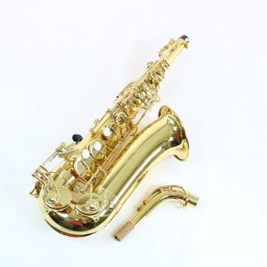 alpha alto with neck Gemeinhardt Alpha Series alto saxophone, student model sax, Alpha Series sax