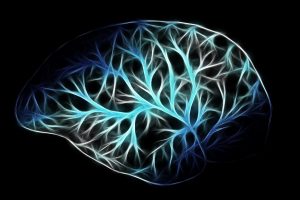 brain, neuroplasticity, nerve cells, 