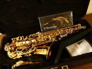 Eb Alto - sn Unk - Bronze with Gold Plated Neck