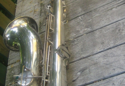 Left Sid & Rear Views Neck Attached (170 visits) Left Sid & Rear Views Neck Attached