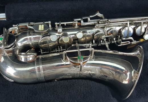 Right Side Lower Portion (146 visits) Right Side Lower Portion