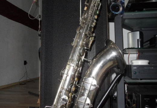 Right Side Neck Attached 2 (204 visits) Right Side Neck Attached 2
