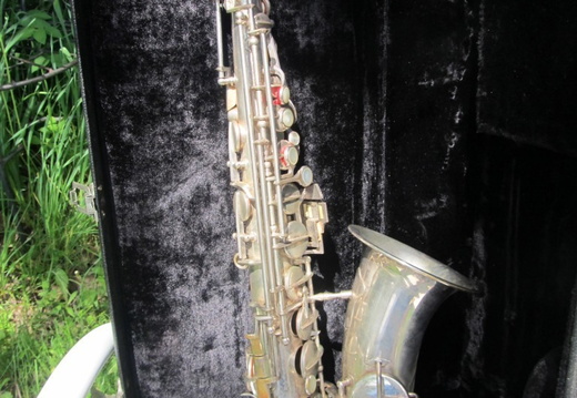 Right Side Neck Attached (189 visits) Right Side Neck Attached