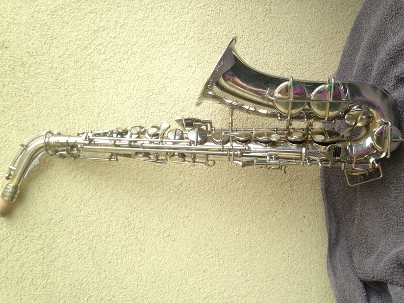 Right Side Neck Attached.jpg