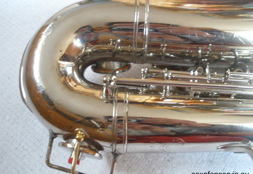 Left Side Lower Portion (169 visits) Left Side Lower Portion
