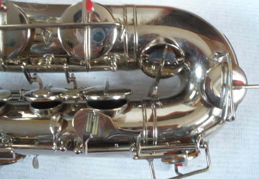 Right Side Lower Portion (176 visits) Right Side Lower Portion
