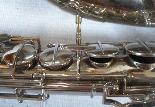 Right Side Mid Section (166 visits) Right Side Mid Section