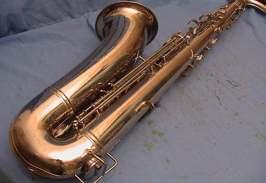 Left Side Lower Portion (116 visits) Left Side Lower Portion