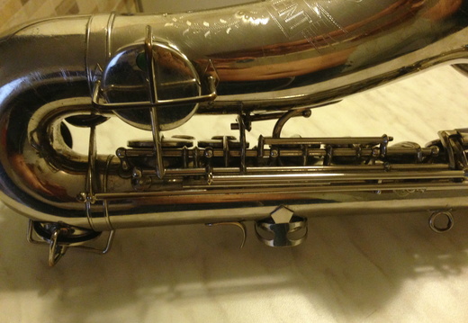 Left Side Lower Portion (97 visits) Left Side Lower Portion