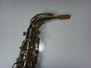 left side upper portion with neck attached
