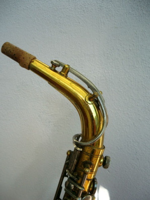 Transitional Horns