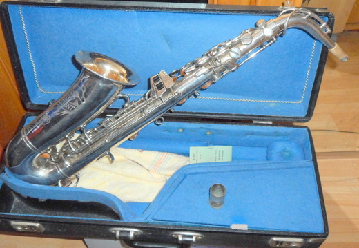 Left Side Neck Attached (193 visits) Left Side Neck Attached