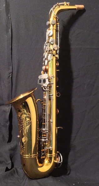 Left Side Neck Attached Angle View.jpg
