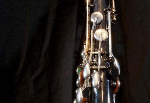 Pro Custom (Goldbrass) - display this album Pro Custom (Goldbrass)