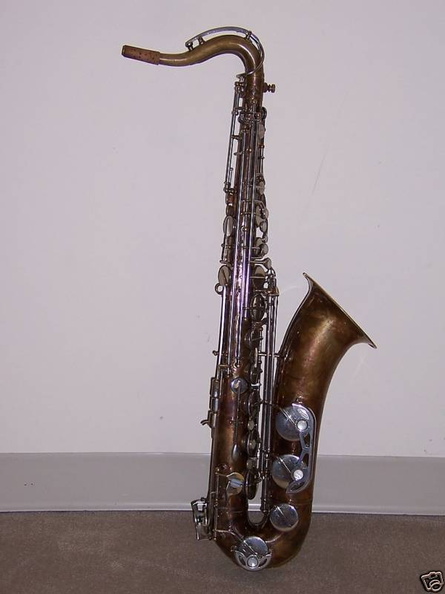 Right Side Whole Horn.jpg