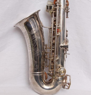 Lower Portion Left Side