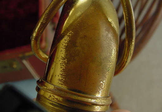 front of neck (24 visits) front of neck
