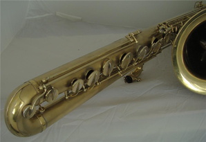 Upper Third Of Horn Front View