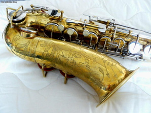 front view lower half