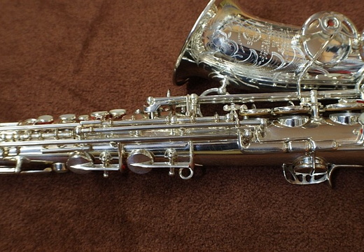 right side mid section (34 visits) right side mid section