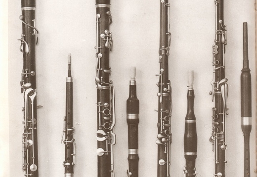 samuel1911-048d (71 visits) samuel1911-048d