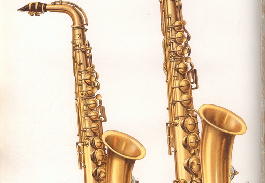 samuel1911-050d (76 visits) samuel1911-050d