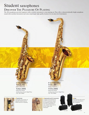 W252R3 saxophones eu-11
