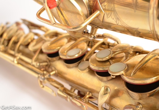 ConnGoldNW1Alto84738-11 (43 visits) ConnGoldNW1Alto84738-11