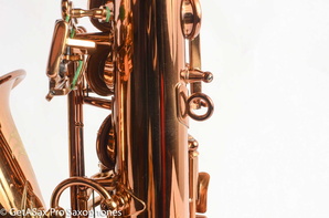 Ishimori-Wood-Stone-WSA-Alto-Saxophone-Brand-New-9