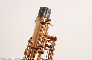 Ishimori-Wood-Stone-WSA-Alto-Saxophone-Brand-New-11