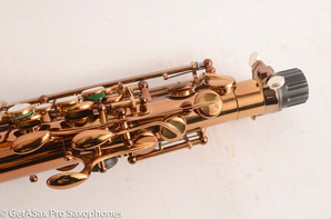 Ishimori-Wood-Stone-WSA-Alto-Saxophone-Brand-New-12