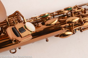 Ishimori-Wood-Stone-WSA-Alto-Saxophone-Brand-New-13