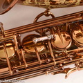 Ishimori-Wood-Stone-WSA-Alto-Saxophone-Brand-New-21.jpg