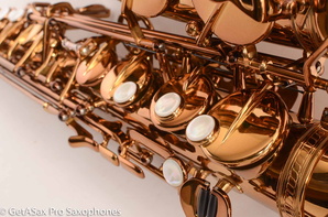 Ishimori-Wood-Stone-WSA-Alto-Saxophone-Brand-New-23