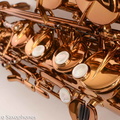 Ishimori-Wood-Stone-WSA-Alto-Saxophone-Brand-New-23.jpg