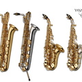 2018 WO Series Baritones and Curved Sopranos.jpg