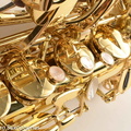 Yanagisawa TWO-33 Tenor Saxophone T9930 352530-27.jpg