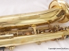 Phase 3 Superba I low A bari # 87549