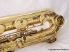 Phase 4 Superba I low A bari # 87549