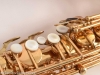 Superba I tenor # 83040